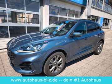 Bild 15
